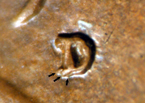http://conecaonline.org/image/1915D1cTripleDFS501ArW.jpg