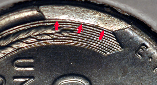 http://conecaonline.org/image/19431cCudRevimagebyDavidWinnCloseUpAr.jpg